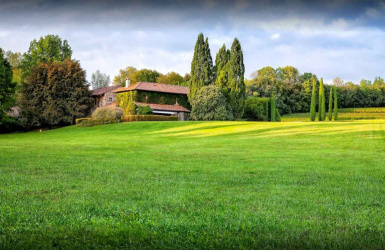 Moruzzo, ,Rural Estate,For Sale,1077