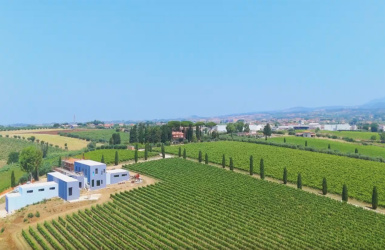 Ariccia, ,Rural Estate,For Sale,1084