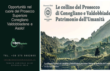 Conegliano - Valdobbiadene, ,Cellar and Vineyard,For Sale,1089