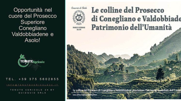 Conegliano - Valdobbiadene, ,Cellar and Vineyard,For Sale,1089