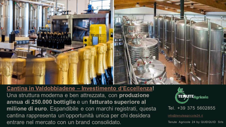 Conegliano - Valdobbiadene, ,Cellar and Vineyard,For Sale,1089