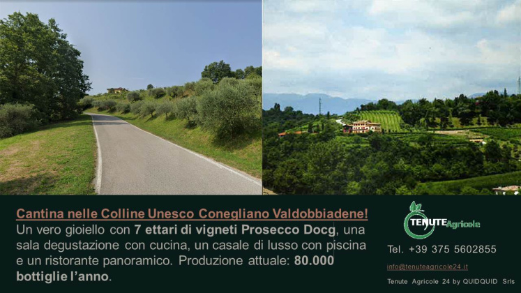 Conegliano - Valdobbiadene, ,Cellar and Vineyard,For Sale,1089