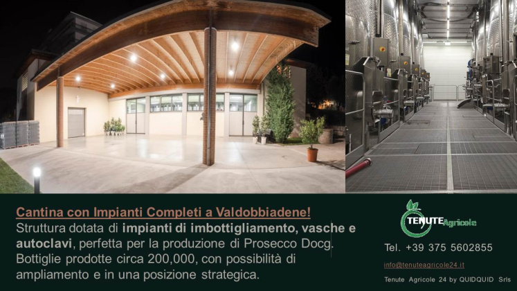 Conegliano - Valdobbiadene, ,Cellar and Vineyard,For Sale,1089