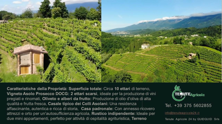 Conegliano - Valdobbiadene, ,Cellar and Vineyard,For Sale,1089