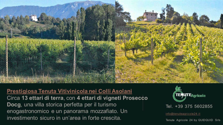Conegliano - Valdobbiadene, ,Cellar and Vineyard,For Sale,1089