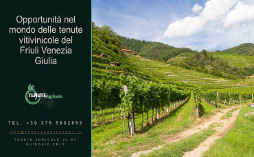 Udine, ,Farmhouse,For Sale,1090