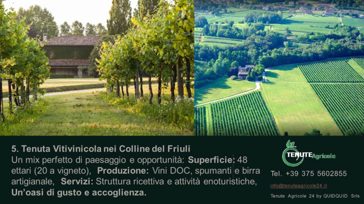 Udine, ,Farmhouse,For Sale,1090