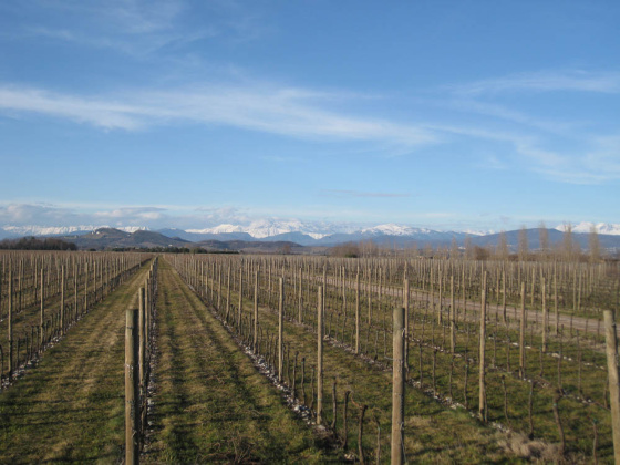 Gradisca D'Isonzo, ,Farmhouse,For Sale,1092