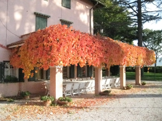 Gradisca D'Isonzo, ,Farmhouse,For Sale,1092
