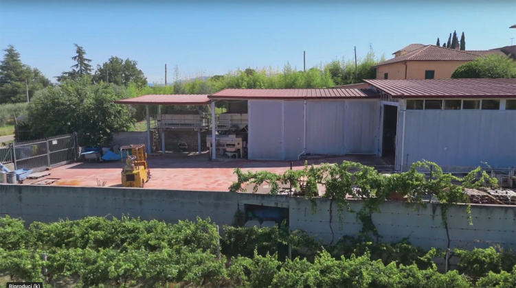 Frascati, ,Cellar and Vineyard,For Sale,1094