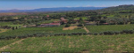 Frascati, ,Cellar and Vineyard,For Sale,1094
