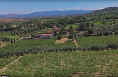 Frascati, ,Cellar and Vineyard,For Sale,1094