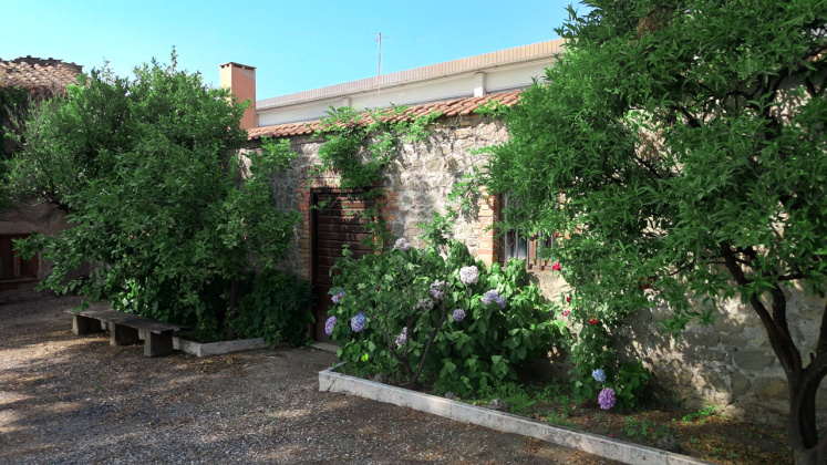 Albano, ,Cellar and Vineyard,For Sale,1095