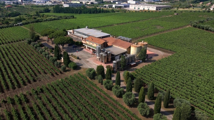 Albano, ,Cellar and Vineyard,For Sale,1095