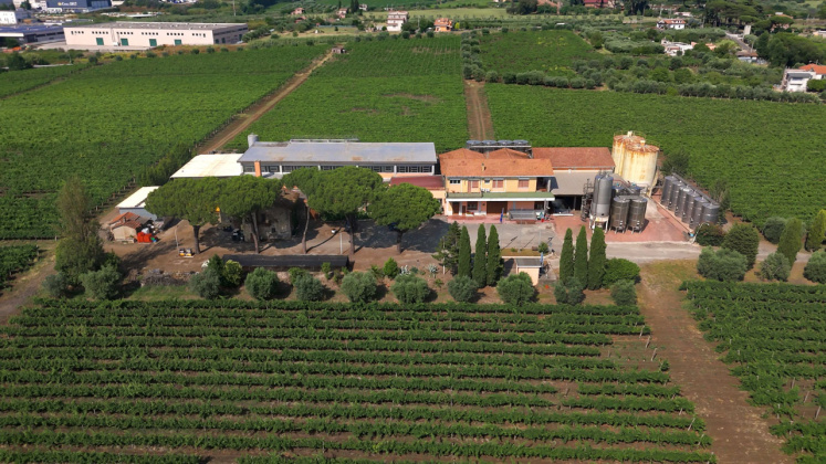 Albano, ,Cellar and Vineyard,For Sale,1095