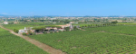 Albano, ,Cellar and Vineyard,For Sale,1095
