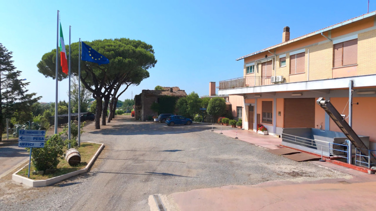 Albano, ,Cellar and Vineyard,For Sale,1095