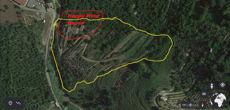 Linguaglossa, ,Rural Estate,For Sale,1097