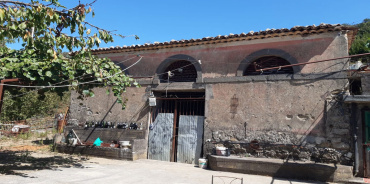Linguaglossa, ,Rural Estate,For Sale,1097