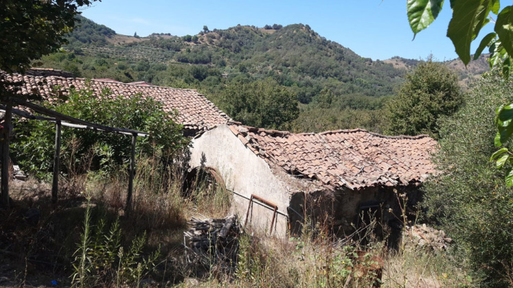 Linguaglossa, ,Rural Estate,For Sale,1097