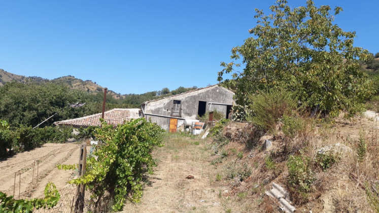 Linguaglossa, ,Rural Estate,For Sale,1097