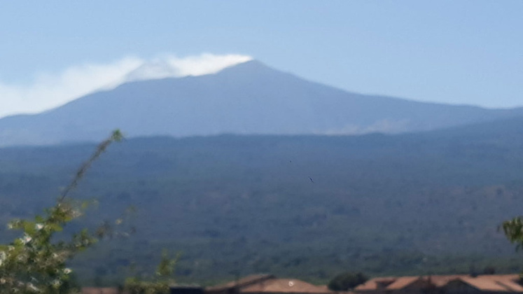 Linguaglossa, ,Rural Estate,For Sale,1097