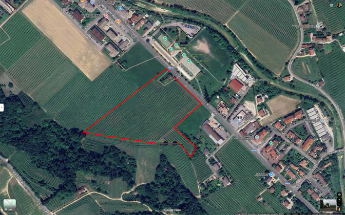 Bagnolo di Conegliano, ,Rural Estate,For Sale,1098